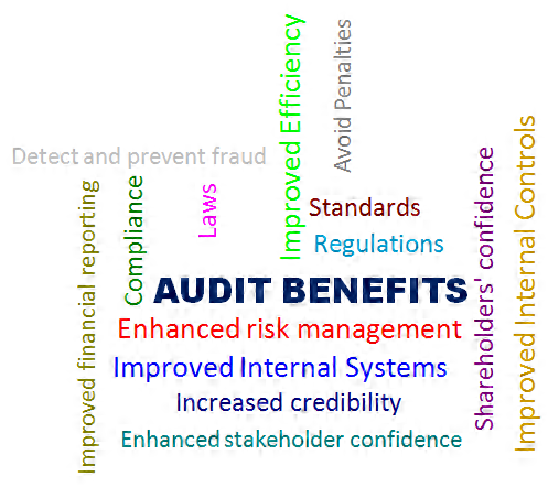 Benefits of an audit